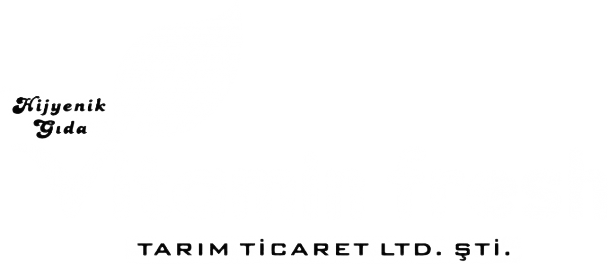 fghfhf